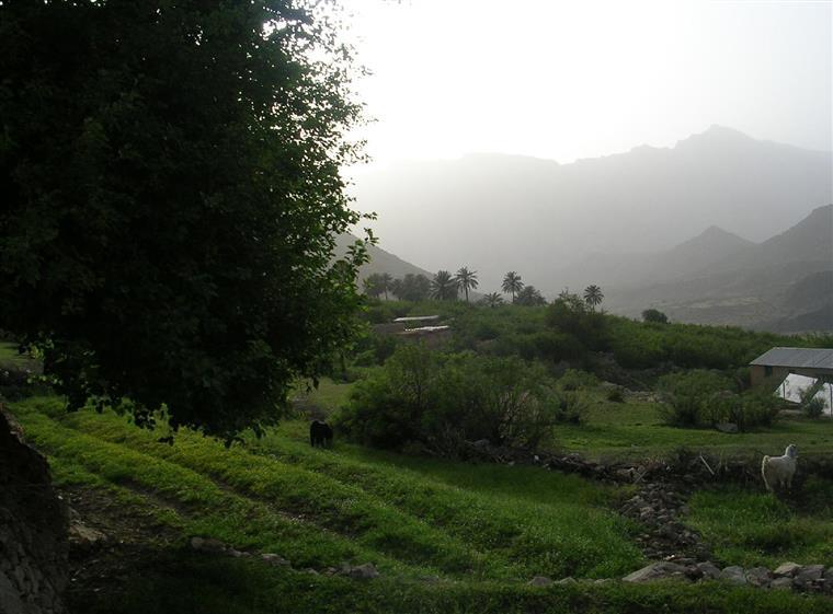 روستای شوی