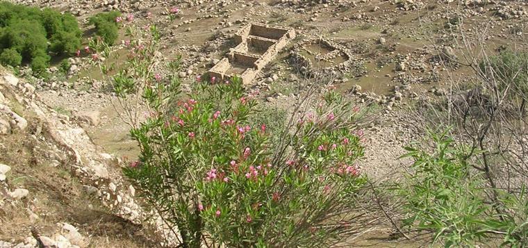 مسیر آبشار شوی