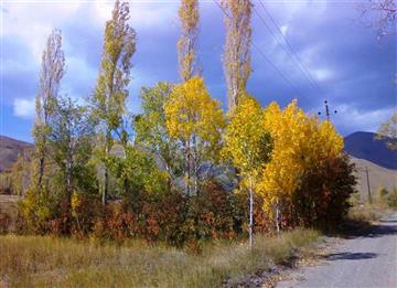 غذاهای محلی روستای خان آباد