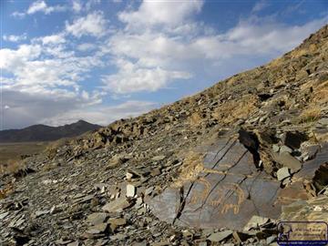 نقش بزکوهی در ایران باستان، نماد آب خواهی، زایندگی، باروری و محافظت. 