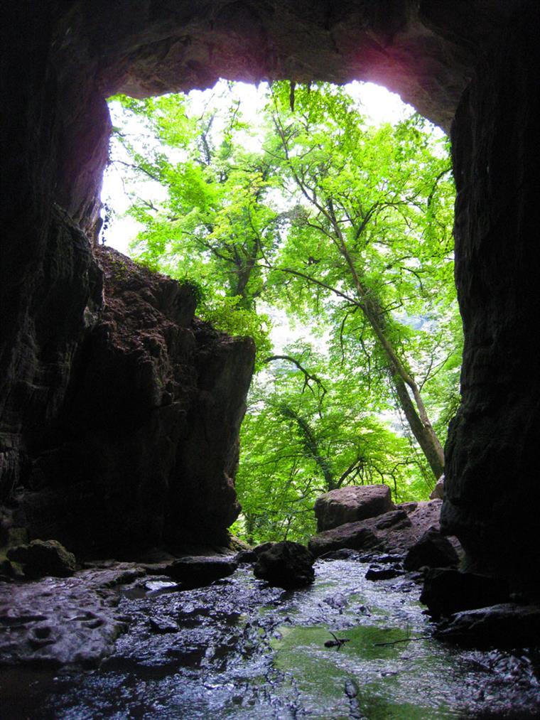 غار دیو سپید