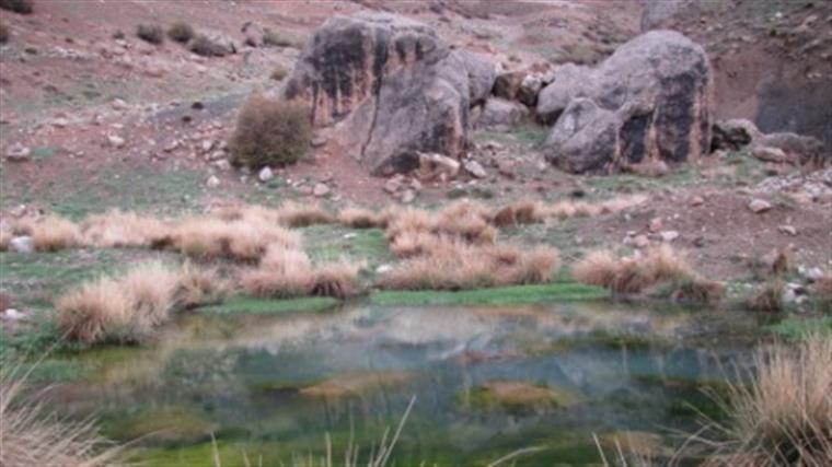 دره جورد