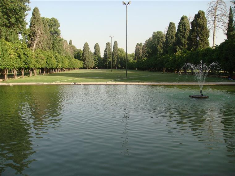 باغ عفیف آباد 