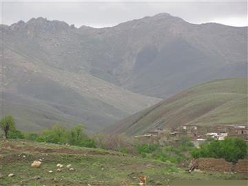 روستای قارلق