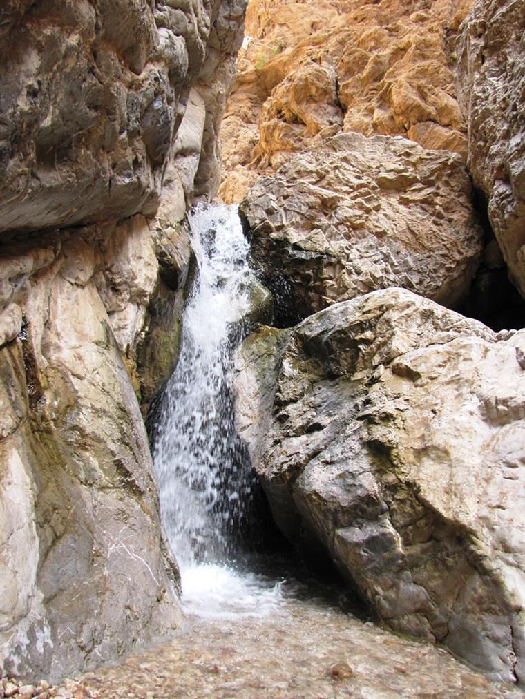 چشمه آب گرم مرتضی علی