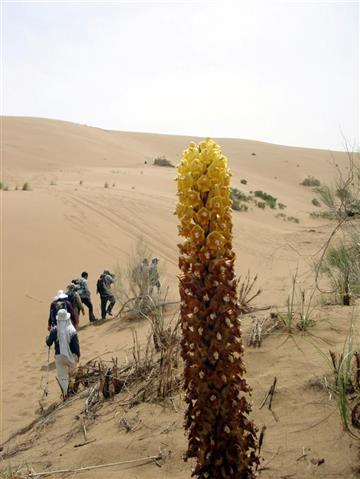 زیبایی کویر مرنجاب