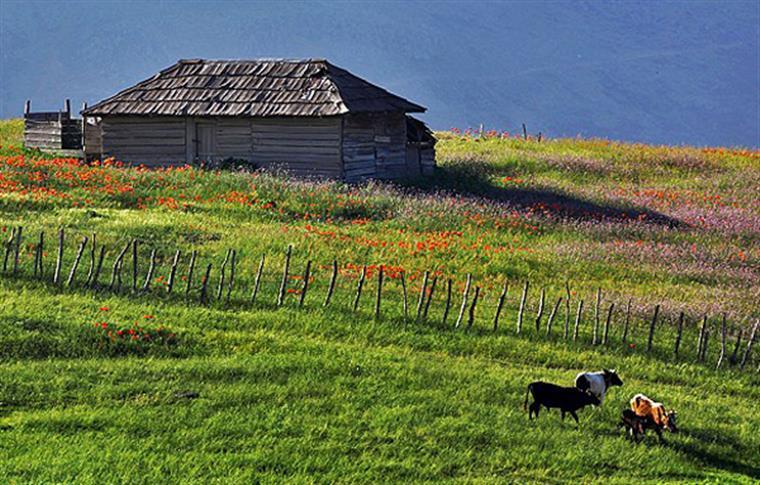 روستای سوباتان