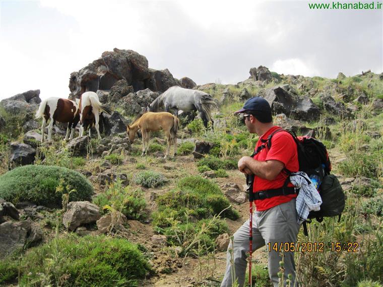 طبیعت بی نظیر دماوند