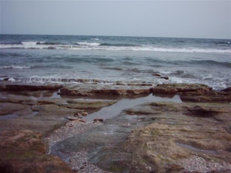 ساحل سنگ سیاه
