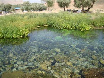 چشمه دیمه