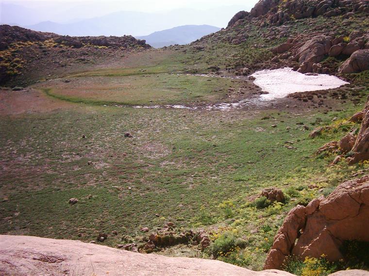 کوهستان  شاهو