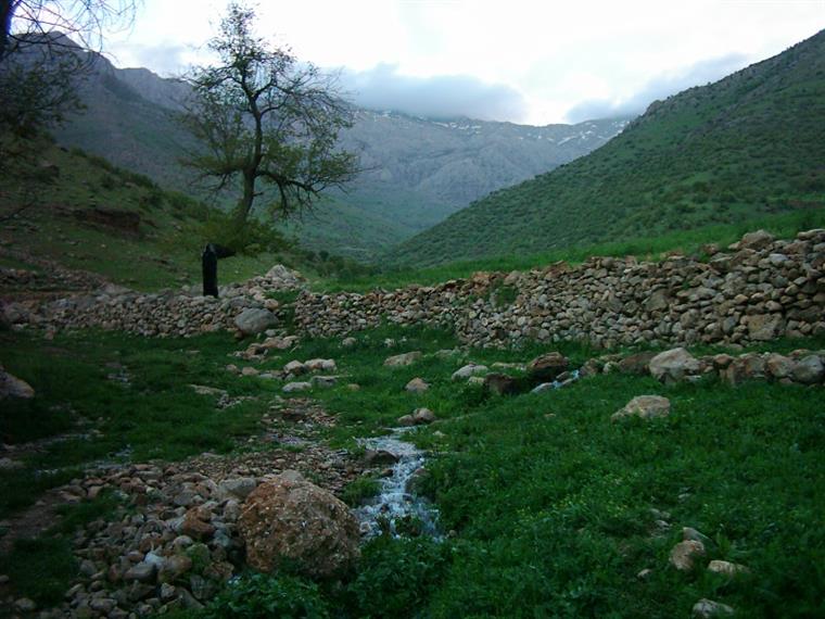 کوهستان  شاهو