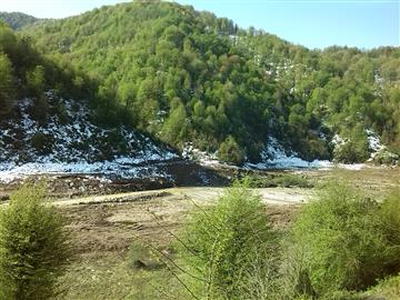 برف در روستای لپه سرا