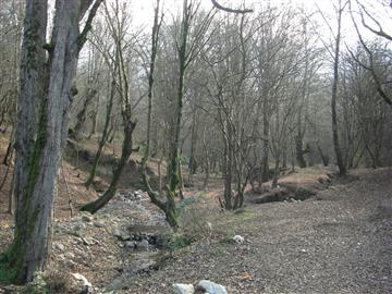 کبود وال بهشت گلستان ایران