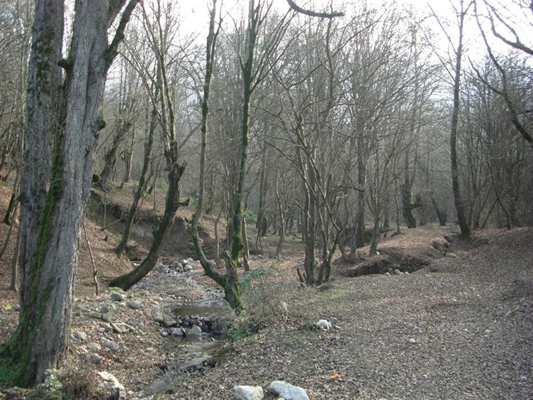 کبود وال بهشت گلستان ایران