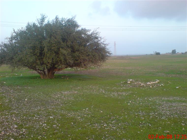 روستای شهری کهنه