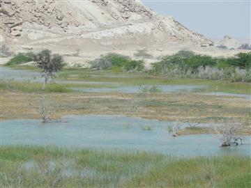 طبیعت جزیره قشم