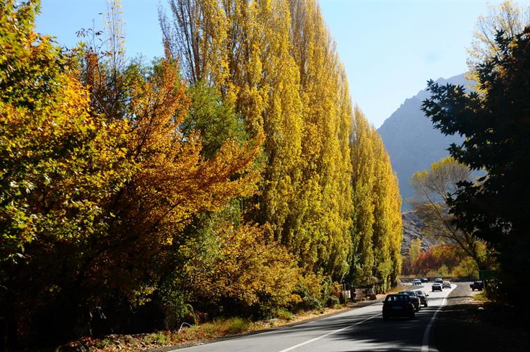 پاییز در جاده چالوس