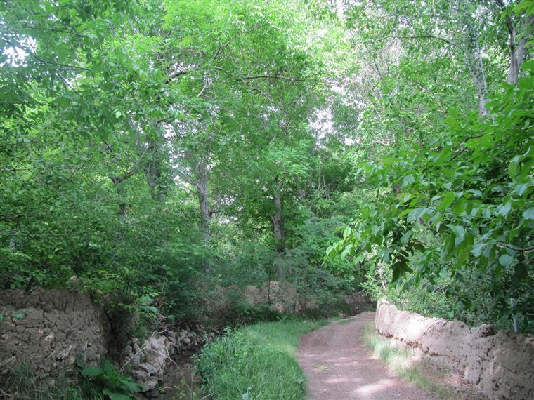 بهار در روستای اسفرجان، در جنوب اصفهان