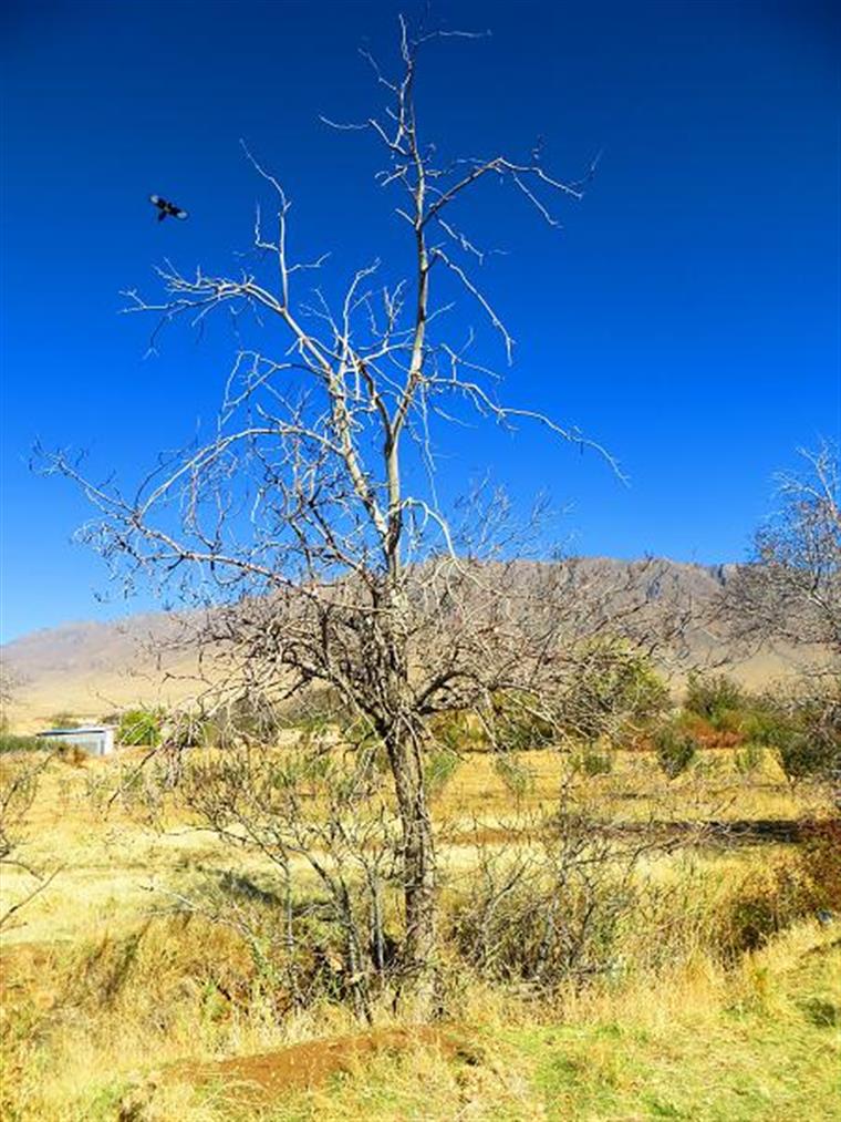 گذر پاییز از روستای خان آباد