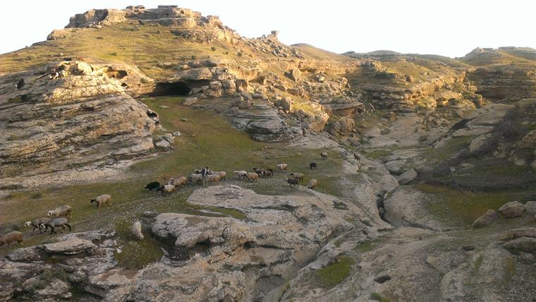 بهار روستای شهری کهنه