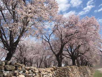 روستای مازگان