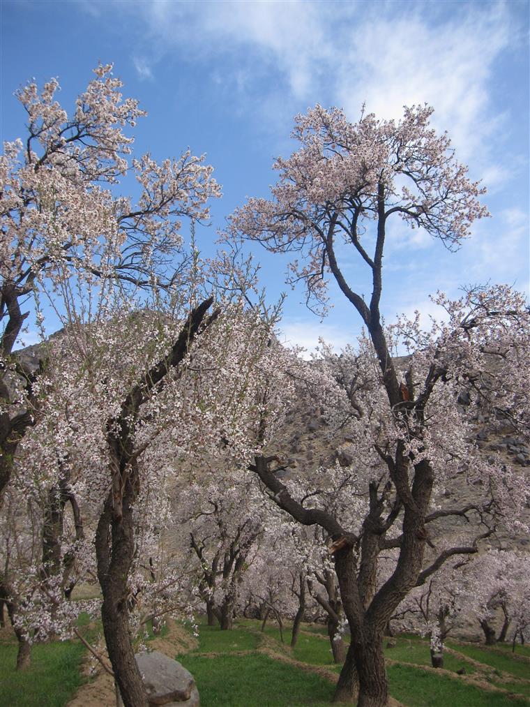 جاده خاكی روستای مازگان