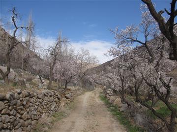 جاده خاكی روستای مازگان