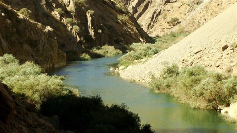 رودخانه سیروان