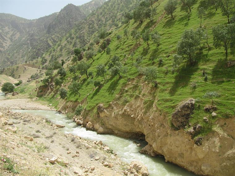 رودخانه خرسان