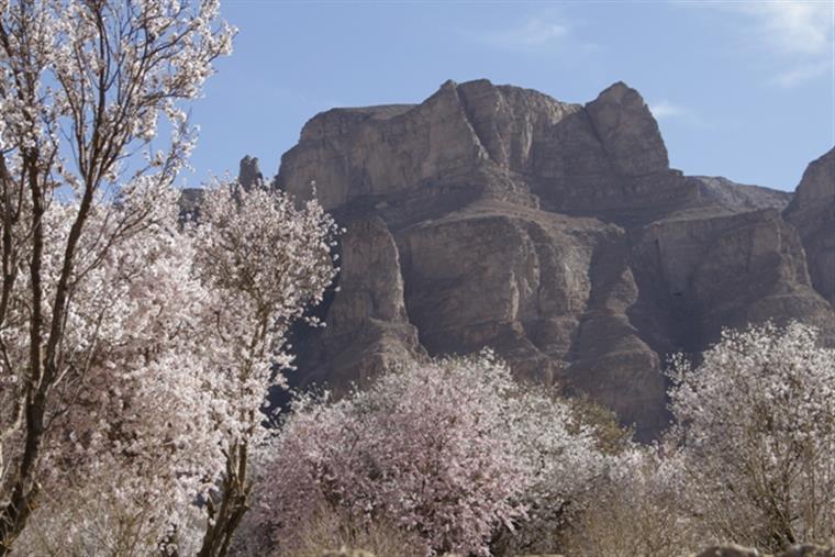 بهار در روستای فراشاه