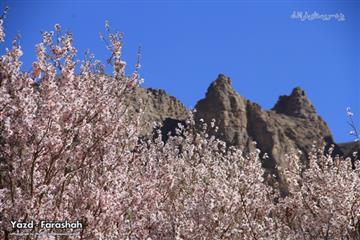 بهار در روستای فراشاه