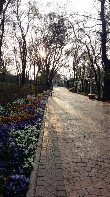 بوستان قیطریه