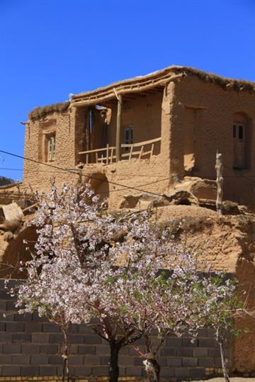 بهار در روستای بخ شهرستان تفت