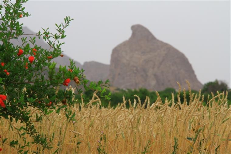 عقابکوه فراشاه