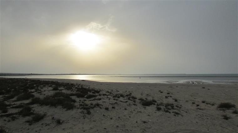 ساحل نایبند
