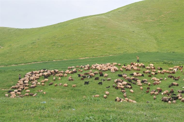 روستای گچی سو بالا