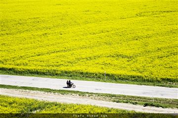 طبیعت زیبای اطراف بقعه متبرکه حضرت خالدنبی (ع)