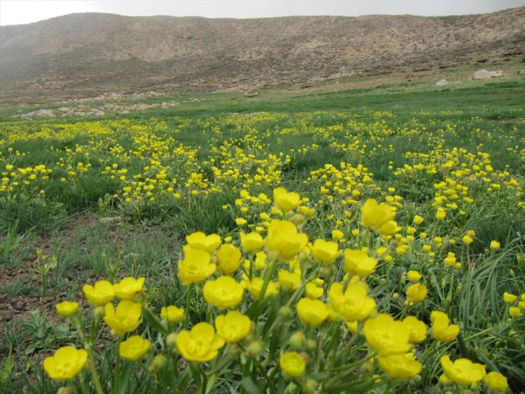طبیعت آستانه