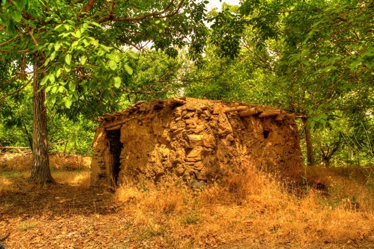 روستای عباس آباد