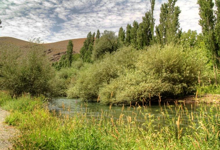 روستای عباس آباد