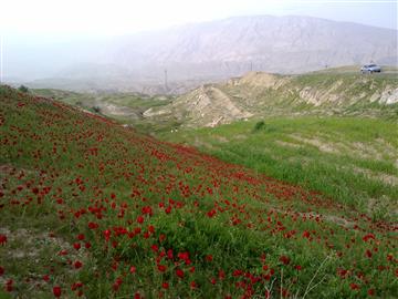 طبیعت زیبای شهرستان لنده روستای ایدنک