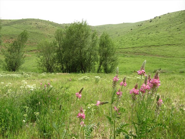 طبیعت روستای مَکِدین علیا