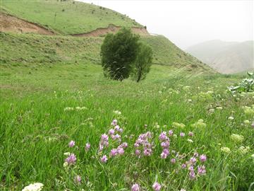 طبیعت روستای مَکِدین علیا