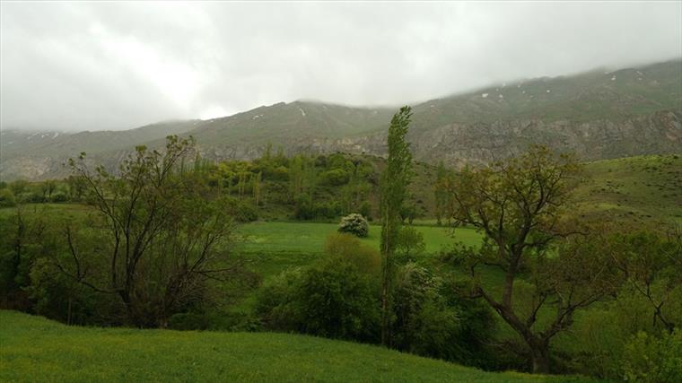 طبیعت روستای طُرزه