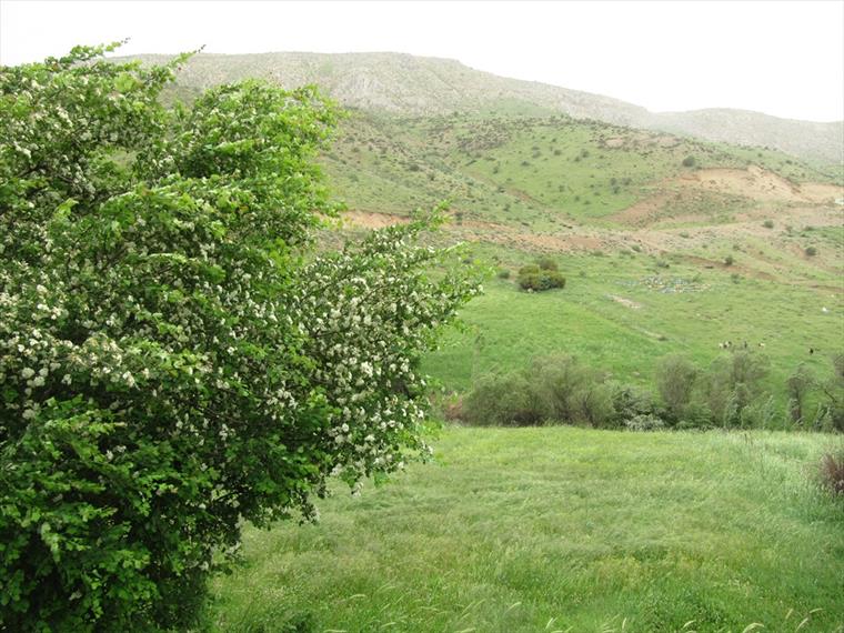 طبیعت روستای بهرام آباد