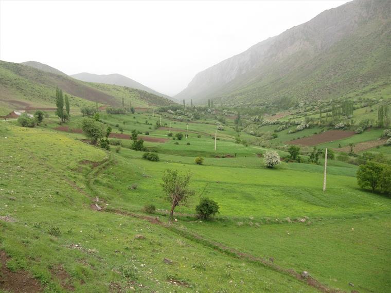 طبیعت روستای بهرام آباد