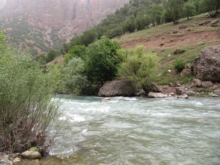 رودخانه وهرگان