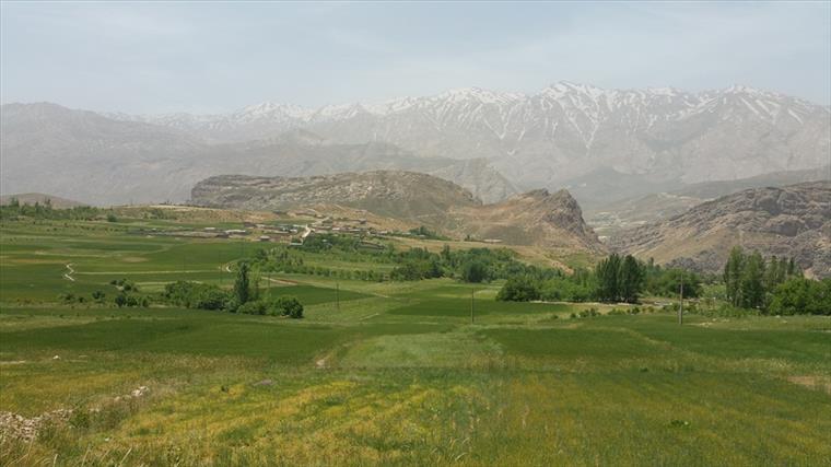 کوه میلی