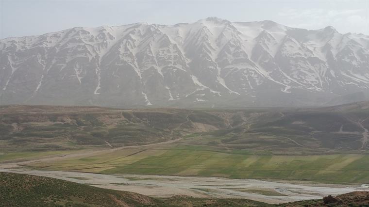 زردکوه بختیاری